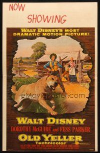 6k454 OLD YELLER WC '57 Dorothy McGuire, Fess Parker, art of Walt Disney's most classic canine!