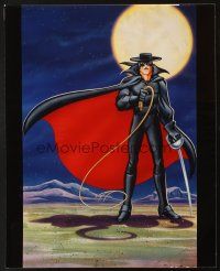 6k009 ZORRO set of 7 16x20 TV posters '98 cool scenes from the cartoon on plastic material!