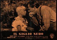 6r286 BAD SEED Italian photobusta '56 Nancy Kelly as the little girl that is really bad!