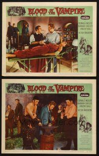 6s860 BLOOD OF THE VAMPIRE 2 LCs '58 Donald Wolfit begins where Dracula left off, Victor Maddern!