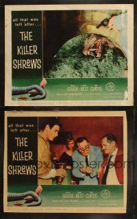 6s916 KILLER SHREWS 2 LCs '59 Ingrid Goude, James Best, includes great monster scene!