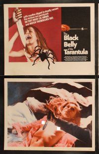 6s077 BLACK BELLY OF THE TARANTULA 8 int'l LCs '72 Giancarlo Giannini, girl attacked by knife!