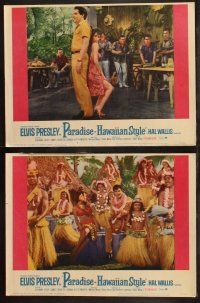6s342 PARADISE - HAWAIIAN STYLE 8 LCs '66 Elvis Presley in production number with hula girls!