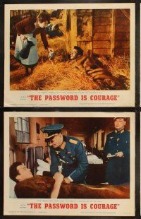6s346 PASSWORD IS COURAGE 8 LCs '63 Dirk Bogarde in an English version of The Great Escape!