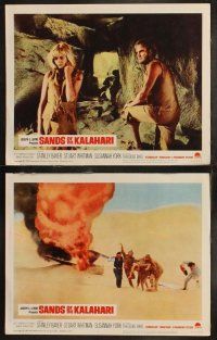 6s382 SANDS OF THE KALAHARI 8 LCs '65 the strangest adventure the eyes of man have ever seen!