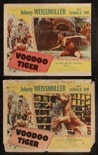 6s470 VOODOO TIGER 8 LCs '52 Johnny Weissmuller as Jungle Jim & sexy Jeanne Dean!