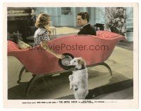 6t191 AWFUL TRUTH color 8x10.25 still '37 Cary Grant doesn't see Irene Dunne's dog has his hat!
