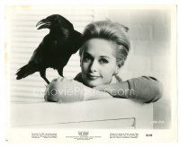 6t391 BIRDS 8.25x10.25 still '63 Hitchcock, posed portrait of Tippi Hedren with raven on shoulder!