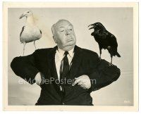 6t393 BIRDS candid 8x10 still '63 wonderful image of director Alfred Hitchcock w/birds on shoulders
