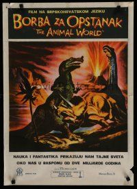 6y167 ANIMAL WORLD Yugoslavian '56 great artwork of prehistoric dinosaurs & erupting volcano!