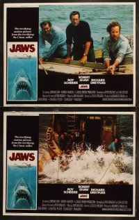 7c401 JAWS 8 LCs '75 great images of Steven Spielberg's classic man-eating shark!