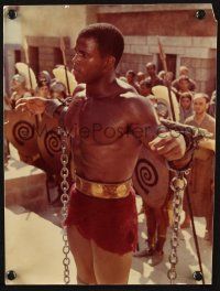 7e003 GREATEST STORY EVER TOLD color Italian 9x11.75 still '65 image of black man in chains!
