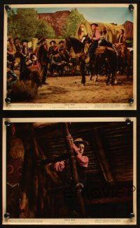 7h774 DRUM BEAT 4 color 8x10 stills '54 great images of Alan Ladd, directed by Delmer Daves!
