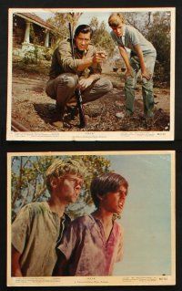 7h008 MAYA 12 color 8x10 stills '66 John Berry directed, Clint Walker & Jay North, animal images!
