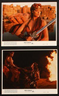 7h109 RED SONJA 8 8x10 mini LCs '85 Brigitte Nielsen & Arnold Schwarzenegger, Richard Fleischer!