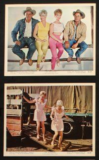 7h148 ROUNDERS 8 color 8x10 stills '65 Glenn Ford, Henry Fonda, sexy Sue Ane Langdon & Holiday!