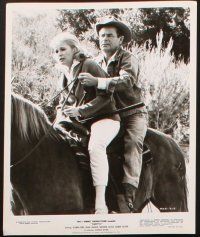 7h701 SMITH 6 8x10 stills '69 cool western images of Glenn Ford, Nancy Olson, bloodhound dogs!