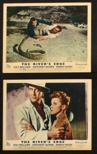 7h128 RIVER'S EDGE 8 color English FOH LCs '57 Ray Milland & Anthony Quinn, Debra Paget!