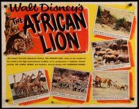 7j446 AFRICAN LION 1/2sh '55 Walt Disney jungle safari documentary, cool wildlife animal images!