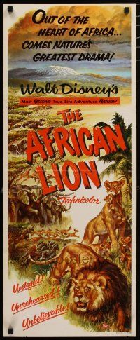 7j012 AFRICAN LION insert '55 Walt Disney jungle safari documentary, cool animal artwork!