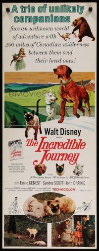 7j198 INCREDIBLE JOURNEY insert '63 Disney, art of Bull Terrier, Siamese cat & Labrador Retriever!