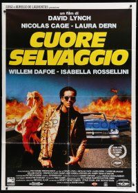 7t412 WILD AT HEART Italian 1p '90 David Lynch, different image of Nicolas Cage & Laura Dern!