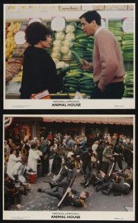8a230 ANIMAL HOUSE 2 8x10 mini LCs '78 Tim Matheson with Bloom & cucumber, wacky parade scene!