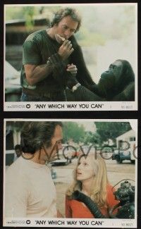8a185 ANY WHICH WAY YOU CAN 4 8x10 mini LCs '80 Clint Eastwood, Sondra Locke & Clyde the orangutan!
