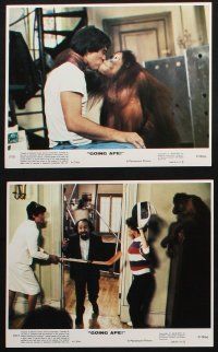 8a050 GOING APE 8 8x10 mini LCs '81 Jessica Walter, Tony Danza & Danny DeVito with orangutans!