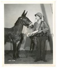 8h323 FRANCIS THE TALKING MULE 8.25x10 still '49 c/u of Donald O'Connor looking at map with mule!