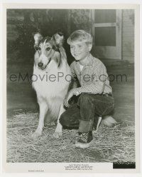 8h549 LASSIE'S GREAT ADVENTURE 8.25x10 still '63 most classic Collie dog & Jon Provost as Timmy!