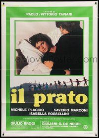 8m606 IL PRATO Italian 1p '79 Michele Placido, directed by Paolo & Vittorio Taviani!