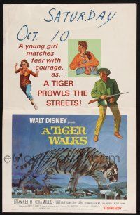 8m449 TIGER WALKS WC '64 Walt Disney, art of Brian Keith standing by huge prowling tiger!