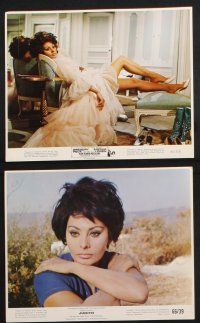 8r045 SOPHIA LOREN 9 color 8x10 stills '60s w/ Peck in Arabesque, Brando in Countess from Hong Kong