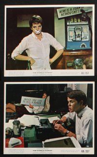 8r016 STERILE CUCKOO 12 color 8x10 stills '69 the novel by John Nichols, Liza Minnelli is Pookie!