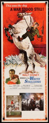 8s674 MIRACLE OF THE WHITE STALLIONS insert '63 Disney, Lipizzaner stallions art, Robert Taylor!