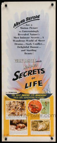 8s759 SECRETS OF LIFE insert '56 Disney's most amazing & miraculous True Life Adventure feature!