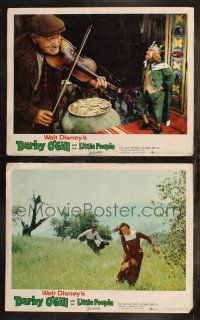 8y962 DARBY O'GILL & THE LITTLE PEOPLE 2 LCs '59 Disney, Sean Connery, Albert Sharpe
