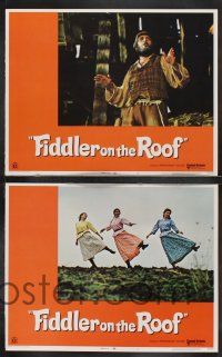 8y220 FIDDLER ON THE ROOF 8 LCs '71 Topol, Norma Crane, Leonard Frey, directed by Norman Jewison!
