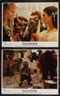8y351 LABYRINTH 8 LCs '86 Jim Henson, wild images of David Bowie, Jennifer Connelly!
