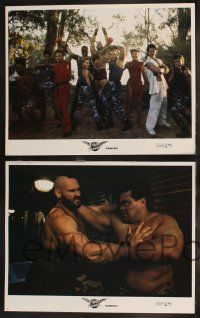 8y591 STREET FIGHTER 8 LCs '94 Jean-Claude Van Damme, Raul Julia in his final role!