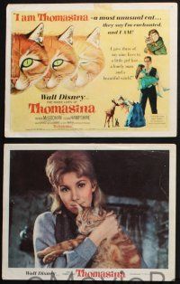 8y035 THREE LIVES OF THOMASINA 9 LCs '64 Walt Disney, great TC art of winking & smiling cat!