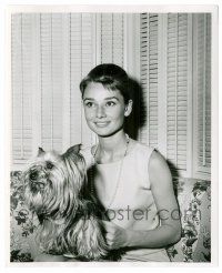 9a088 AUDREY HEPBURN 8.25x10 still '50s wonderful smiling close up with her cute dog Mr. Famous!