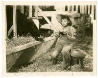9a183 CHECKERS 8x10.25 still '38 wacky Jane Withers in barn using cow's horns to hold yarn!