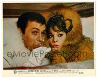 9a023 GREAT RACE color 8.25x10 still '65 Tony Curtis & Natalie Wood in fur drinking champagne!