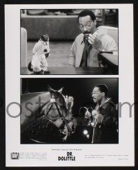 9c688 DOCTOR DOLITTLE presskit w/ 8 stills '98 Eddie Murphy, cool animal images and folder!