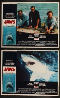 9j214 JAWS 8 LCs '75 great images of Steven Spielberg's classic man-eating shark!