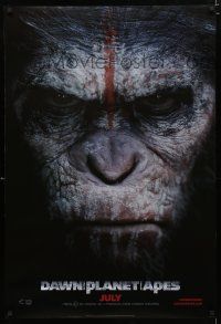 9m224 DAWN OF THE PLANET OF THE APES style A teaser DS 1sh '14 super close-up of Caesar!