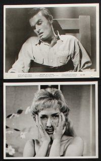 9p434 ANATOMY OF A PSYCHO 12 8x10 stills '61 terrifying expose of a stalker after a beautiful babe!