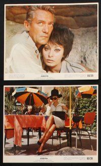 9p071 JUDITH 8 color 8x10 stills '66 Daniel Mann directed, sexiest Sophia Loren & Peter Finch!